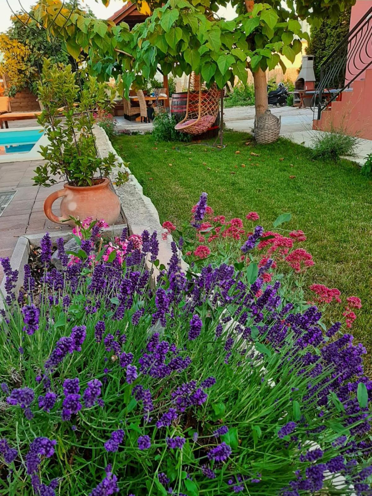 Apartment Smilje Σίμπενικ Εξωτερικό φωτογραφία